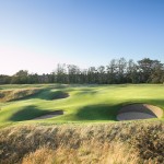 Some of the 206 bunkers