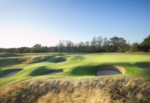 Some of the 206 bunkers